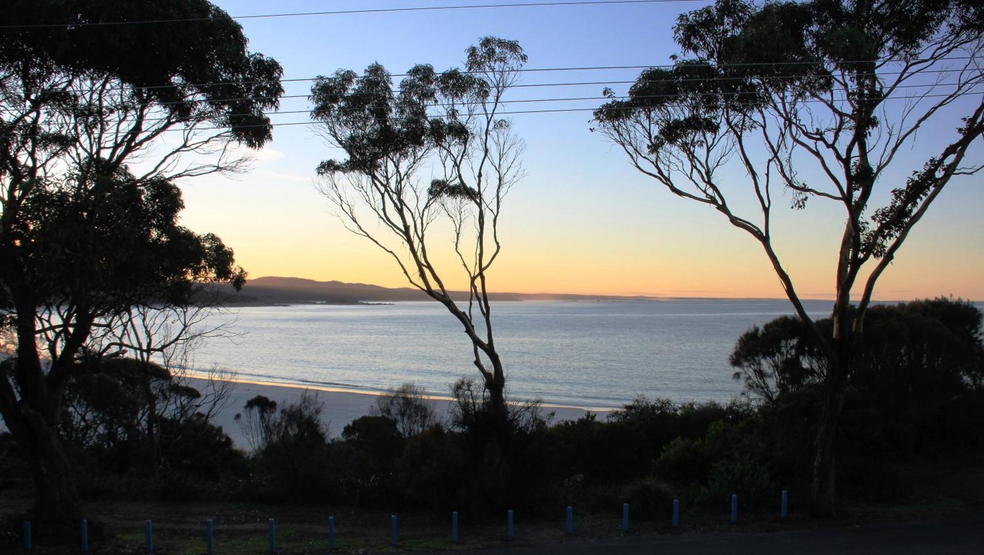Kingfisher Cottage Beachfront At The Binalong Bay エクステリア 写真